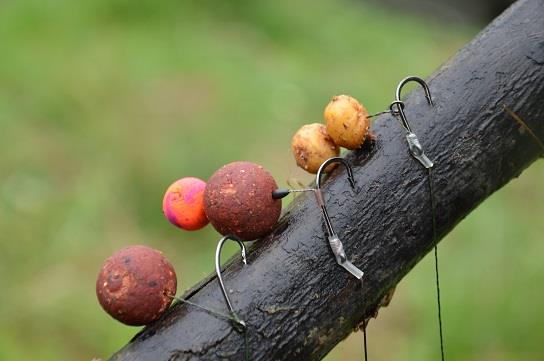 Aplicatii corecte ale carligelor de crap